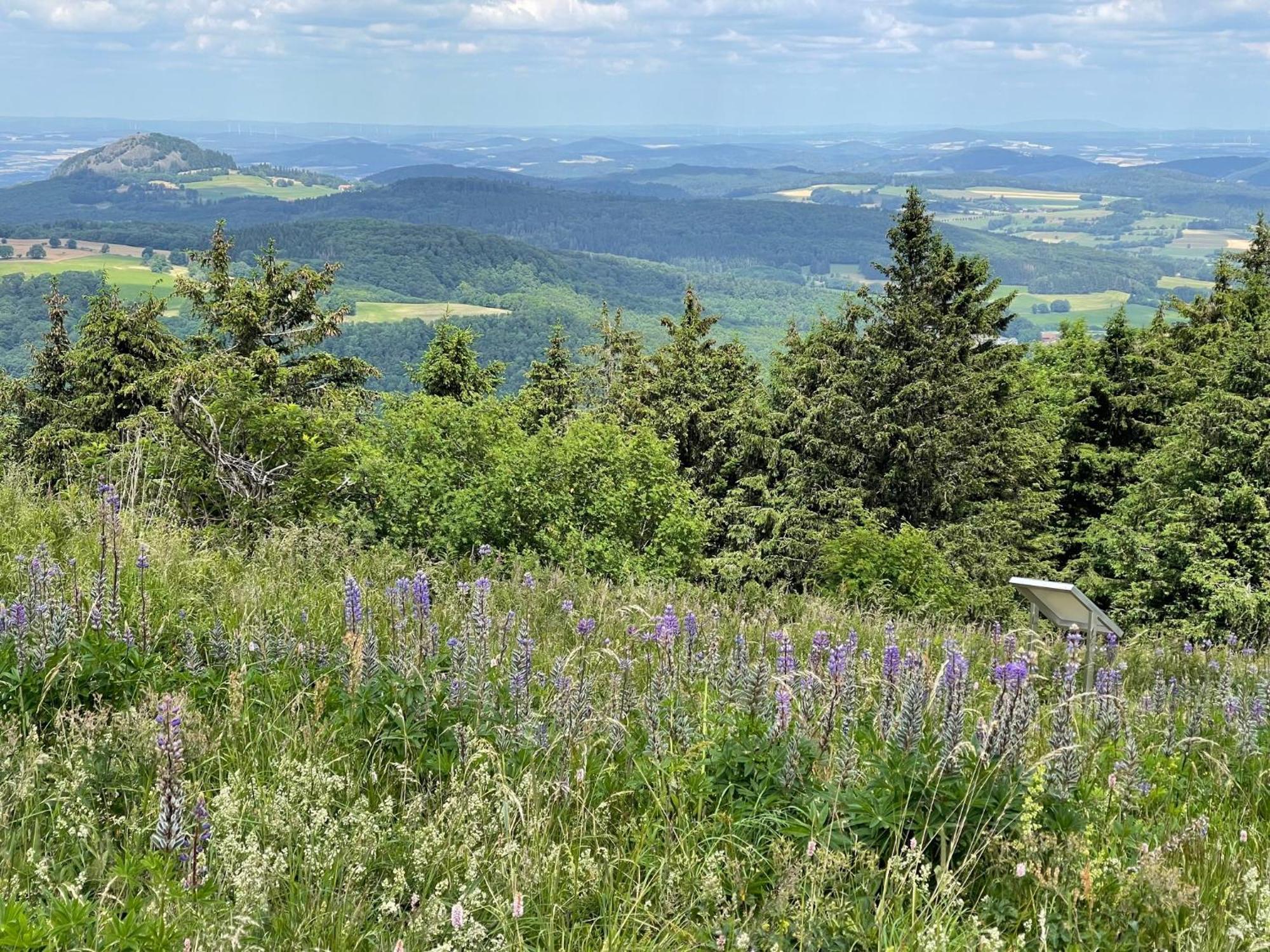 Landhotel Hubertus Unterelsbach Экстерьер фото